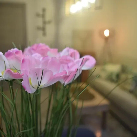 El Boulevard De 1895 *