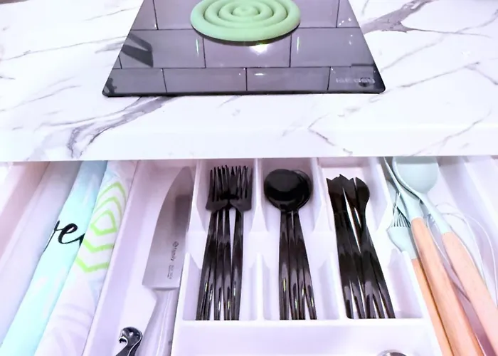 El Boulevard De 1895 *